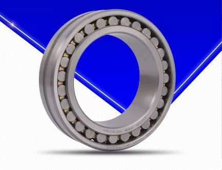 Rouleaux de roulement cylindriques polyvalents Matériau durable GCr15