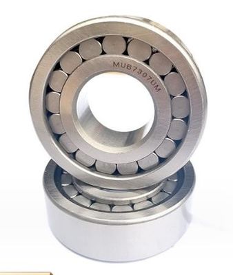 Des roulements à rouleaux sphériques à double roulement pratiques, des roulements sphériques scellés séparables