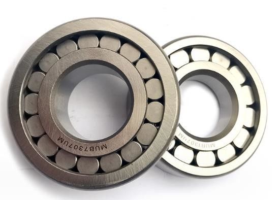 Des roulements à rouleaux sphériques à double roulement pratiques, des roulements sphériques scellés séparables