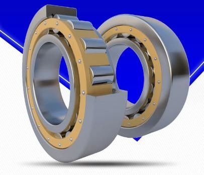 P2 roulement à rouleaux cylindriques de précision à double rangée avec joints ouverts