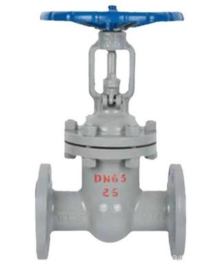 Parties de coulée sous pression d'alliage d'aluminium sur mesure DN125 Z41H-16C Flanche de soupape de porte Assurance d'étanchéité dure ISO/TS16949 2009 Fer ductile